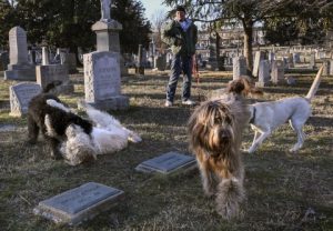 Rüyada Mezarlıkta Köpek Sevmek