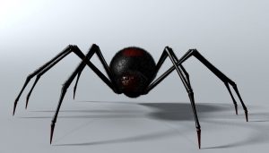 Rüyada Siyah Büyük Örümcek Öldürmek