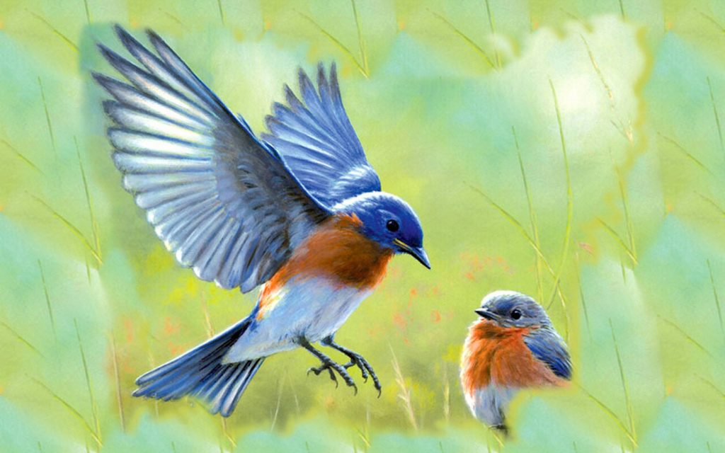 Rüyada Mavi ve Yeşil Kuşlar Görmek
