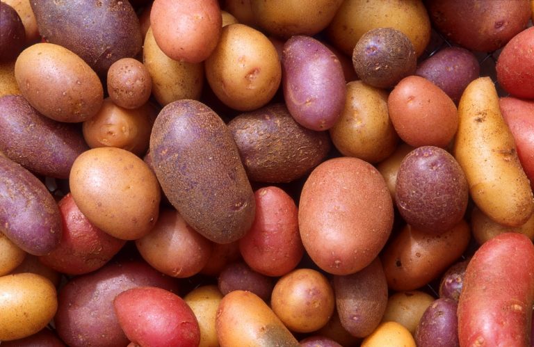 Rüyada Patates Çuvalı Görmek - Rüya Meali