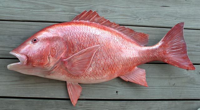 Rüyada Kırmızı Balık Görmek - Rüya Meali